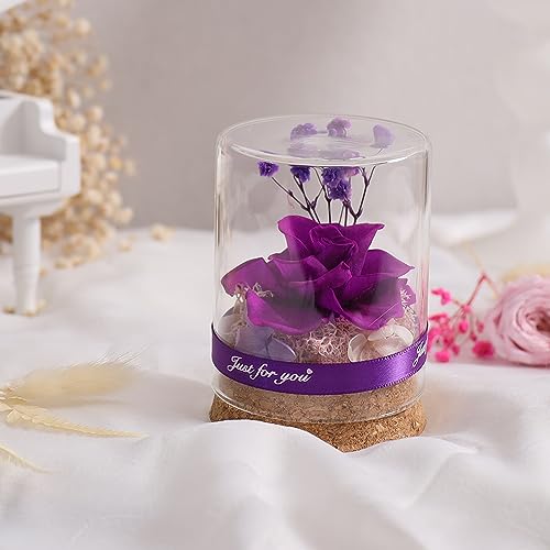 IwaiLoft MINI vU[uht[ Mtg o v[g ͂ȂԂ̃AW av[gEjE\E蕨 KXh[ ̓ ޏ  v[g a j t[ CeA N (x_[)