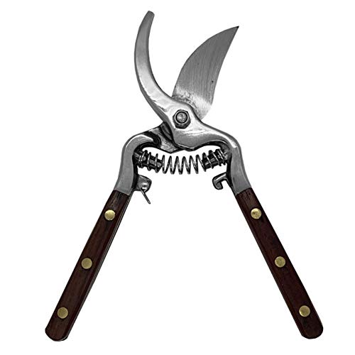 Thai Kitchen Scissors and Pruning Shears for Gardening by Verve CULTURE, Handcrafted, Multipurpose with Stainless Steel Blades & Pradu Wood Handles