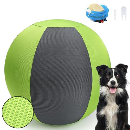 Ballon entraînement pour chiot robuste et gonflable pour la ferme - 6