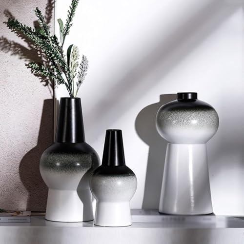 Vase céramique dégradé pour fleur séchée et déco de salon - 6