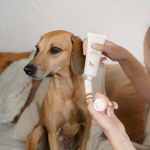 Zahncreme für Hunde – natürliche Zahnreinigung mit Kokosöl, Kurkuma & Papaya-Extrakt, sanft & effektiv, bei Zahnbelag, Zahnstein & Mundgeruch, LILADENT von LILA LOVES IT, 75 ml