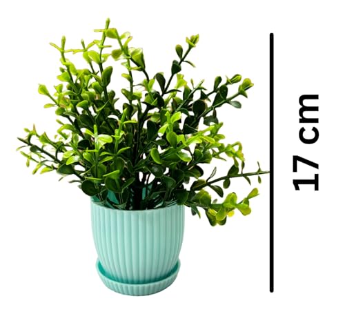 Dekorly® Plastic 6 Packs Fake Plants Small, Mini Artificial Plants Indoor for Home Farmhouse Bathroom Shelf Décor (Light Blue, Height : 17CM)