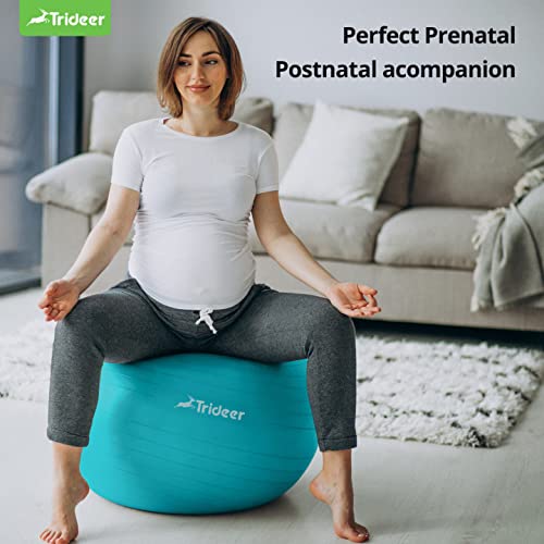 Trideer-Extra-Thick-Yoga-Ball-Exercise-Ball-5-Sizes-Ball-Chair-Heavy-Duty-Swiss-Ball-for-Balance-Stability-Pregnancy-and-Physical-Therapy-Quick-Pump-Included