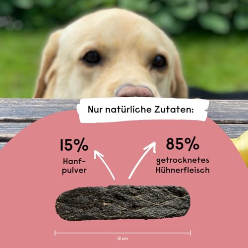 Beruhigungsmittel für Hunde – Hanfred SOS Stangerl mit Pferdefleisch, Anti-Stress Snacks bei Angst & Nervosität – natürliche Hilfe bei Silvester, Autofahren – sofortwirkung & für Allergiker (3 x 65g)