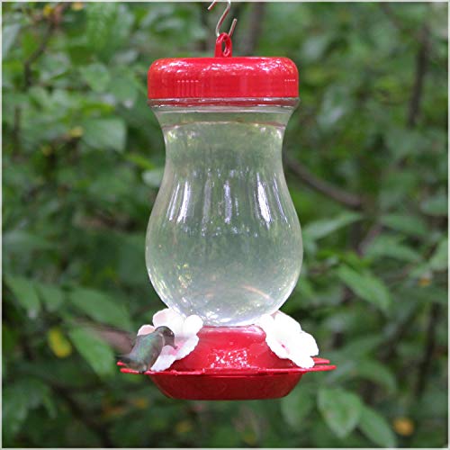 Perky-Pet 132TF 24-Ounce Glass Top Fill Hummingbird Feeder,Red,Large - Image 7