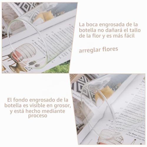 Jarrones de cristal estrechos para sujetar tulipanes altos sin doblarse 6