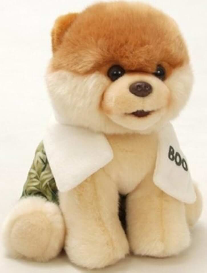 Мишка gund. Плюшевая собака. Мягкая игрушка boo. Игрушка для собак. Gund мягкая игрушка pav.