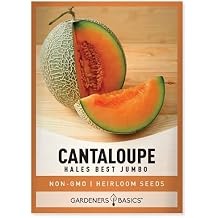 Gardeners Basics, Cantaloupe Seeds for Planting - Hales Best Jumbo Heirloom, Non-GMO Vegetable Variety- 1 Gram Approx 45 Seeds Great for Summer Melon Gardens