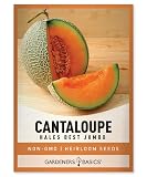 Gardeners Basics, Cantaloupe Seeds for Planting - Hales Best Jumbo Heirloom, Non-GMO Vegetable Variety- 1 Gram Approx 45 Seeds Great for Summer Melon Gardens