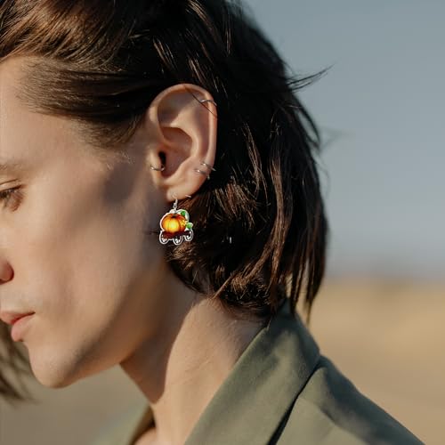 4-7Pairs Thanksgiving Fall Earrings for Women Leopard pumpkin Maple Leaf Turkey Sunflower Pine Cone Drop Dangle Earrings Set Autumn Thanksgiving Jewelry3