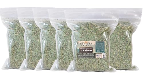 Mezcla de heno Timothy y alfalfa para pequeños animales 6 bolsas 1 lb
