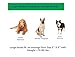 Healers Petcare Medical Dog Bootie, Single Unit - Blue, l