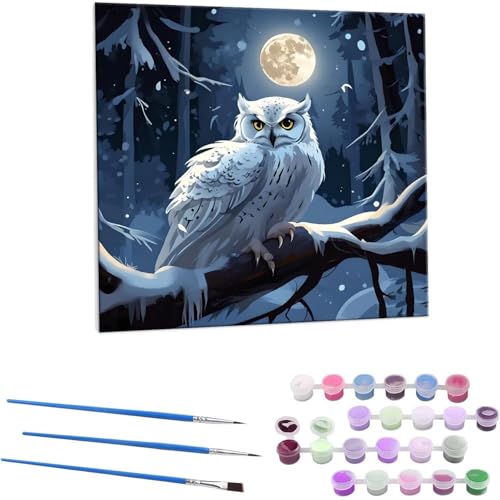 ̃tNE G Paint by Numbers hG Lbg l ʂ肦 lphGLoXNtg  LoXA[g uVƃANG̋, ItBX CeA rO, ւ̃Mtg 80x80cm (t