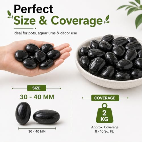 Image of Go Garden Big Black Pebbles Stones for Garden Decoration | Natural Polished Decorative Pebbles for Plants,Aquarium, Fish Tank, Lawn & Home Decor | Premium Large Size Stones (Black) PACK OF 2KG