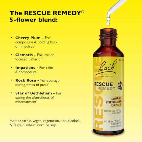 Bach Rescue Remedy PET Pipette 20 ml, natürlicher Stressabbau, beruhigend für Hunde, Katzen und andere Haustiere, homöopathische Blütenessenz, Donner, Feuerwerk & Reisen, Trennung, Sedative-Free