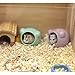 LuckyOpt Ceramic Hamster House, Cute Animal Shaped Hamster Cave, Summer Cool Small Animal Hideout Habitat Decor for Dwarf Hamsters (Purple)