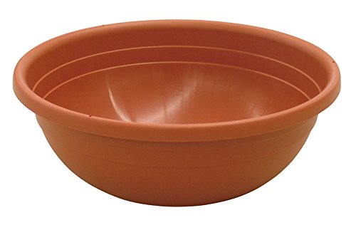 Ics cuenco para flores