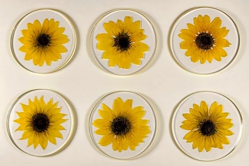 Real Girasol Dorado en Resina Clara de Lucita 3.9" miniatura 5