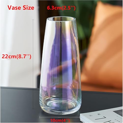 Image of Mahganya Decorative Glass Vase for Flowers Plants Home Decor Office Living Table Decorations, Vases for Home Decor, Luster Glass Vase, Heavy Weight, Sturdy (Transperent)