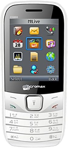 Micromax CG666 (White-Grey)