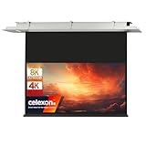 Celexon Deckeneinbau Leinwand Motor Expert 300 x 187 cm