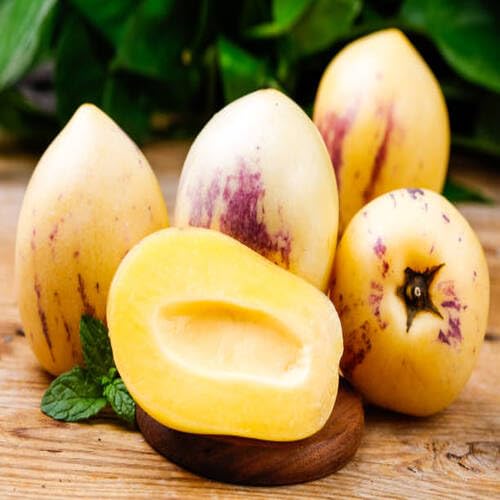 100 semillas amarillas de ginseng