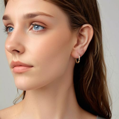 Elegant Hoop Earrings for Women Star Silver/Gold Plated Earrings Hypoallergenic Earring for Women Jewelry Gifts for Christmas,Valentine's Day,Anniversary4