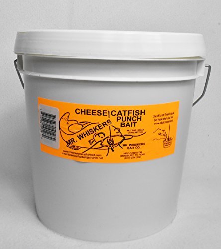Best Cheese For Catfish Bait Reviews And Buying Guide Maine Innkeepers Association