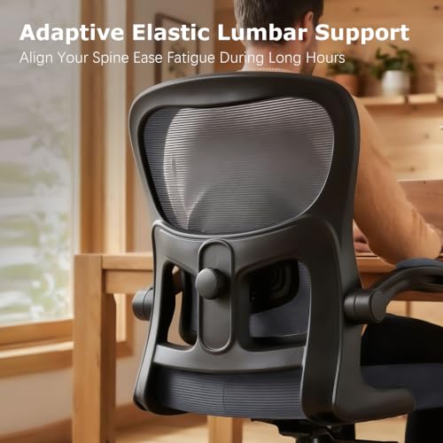 Image of AreShark Office Chair Ergonomic Desk Chairs with Adjustable Lumbar Support& Headrest Hanger, High Back Breathable Mesh Chair with Wheels, Rolling Swivel Comfy Task Computer Chair for Home Work Gaming