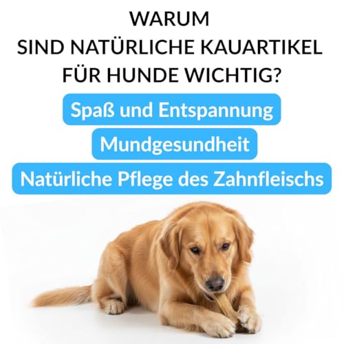 GUSTO PETS Kauknochen für Hund mit Strauß 12 cm - 100% Natürlicher Hundeknochen, leicht verdaulicher Protein-Snack, Ergänzungsfuttermittel für Hunde, ohne Zusatzstoffe, Hergestellt in der EU