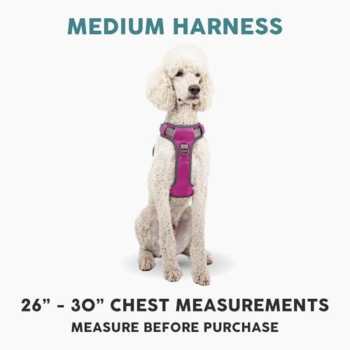 Embark Adventure Dog Harness, Reflective Trim No Pull Dog Harness Medium Sized Dogs - Military Grade Nylon, Front Clip with Gel Lined Handle.