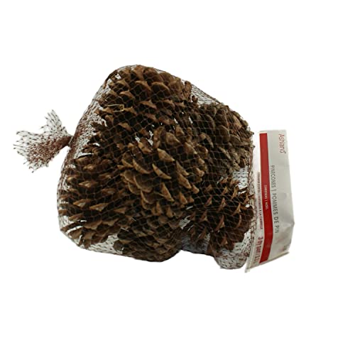 3 Dry Quart Pinecones