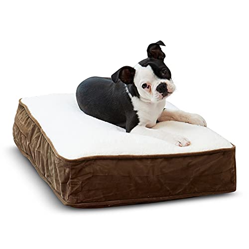 South Pine Porch Buddy Rectangle Pillow Style Dog Bed, Latte, Extra Small (18" x 24")