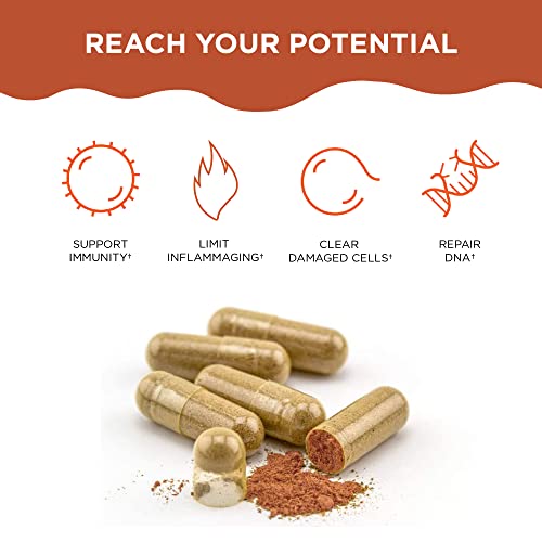 Healthycell AC-11SUPPLEMENT Ac-11 Supplement - Supports Cell Dna Repair From Cat'S Claw - Anti Aging thumb #2