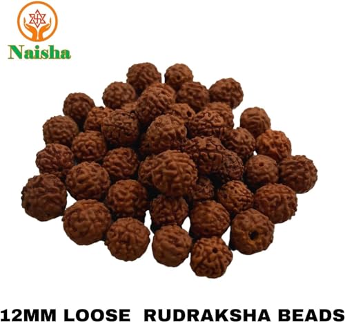 Naisha Natural Rudraksh 165 Piece Loose Rudraksha Mala, Genuine Himalayan Meditation Prayer Beads, 8-14mm Bodhi Beads for Jewelry Making, DIY Big Lot 4 Different Sizes