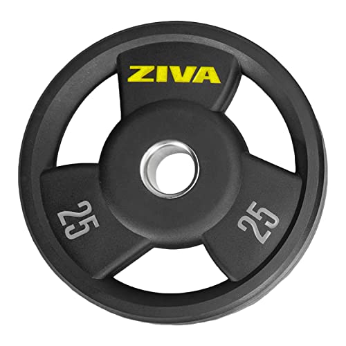 ZIVA 25 lb Grip Disc