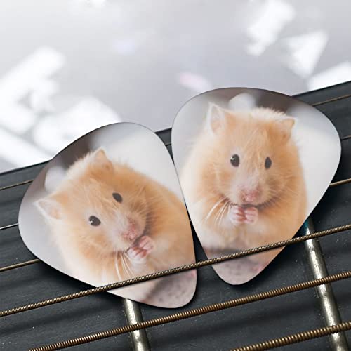 Lot de 3 médiators en celluloïd coloré pour guitare basse, amateurs de musique, joueurs de guitare, guitares électriques et acoustiques avec 0,46 mm, 0,71 mm, 0,96 mm – Maroon Hamster - Les Beatles, Paul McCartney, John Lennon, RIngo Starr, George Harrison Lot de 3 médiators en celluloïd coloré pour guitare basse, amateurs de musique, joueurs de guitare, guitares électriques et acoustiques avec 0,46 mm, 0,71 mm, 0,96 mm - Maroon Hamster – Image 8