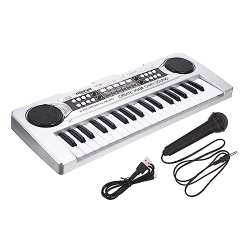 LIOOBO Adorable Key Simulation Piano for Microphone Multipurpose Musical Education Plaything for Developing Hand Eye Coordination and Hearing Skills Birthday