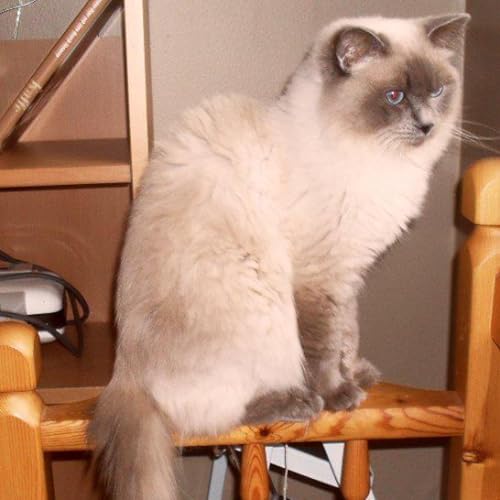 Aliens contact part2