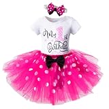 Nileafes Baby Girl One 1st Birthday Party Photoshoot Outfit Toddler Infant Poka Dots Tulle Skirt 3pcs Clothing Set Size (12-18 Months,916-Rose)