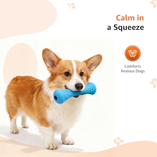 Image of Amazon Basics Treat Dispensing Dog Toy Combo | Squeaky Ball & Interactive Bone | Durable Rubber | Mental Stimulation & Teething | for Puppies & Small Dogs