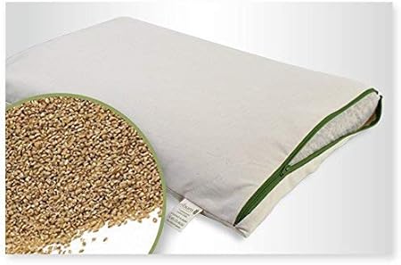 cuscino organico per dormire