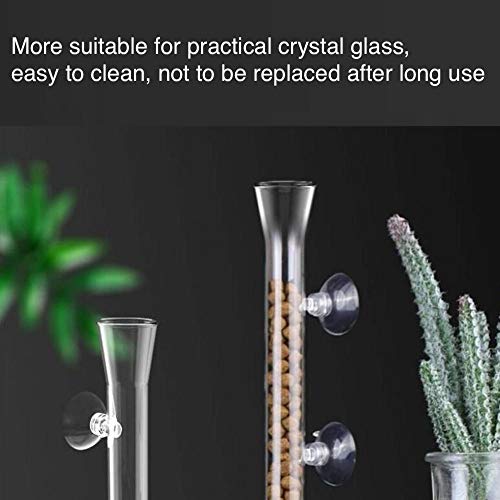 Shrimp Feeding Tube and Dish,2 Cup Clear Crystal Glass Fish Tank Shrimp Feeder Tube Tray - Image 5