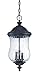 Acclaim 39716BC Bellagio Collection 3-Light Outdoor Light Fixture Hanging Lantern, Black Coral