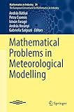 Mathematical Problems in Meteorological Modelling (Mathematics in Industry, 24)