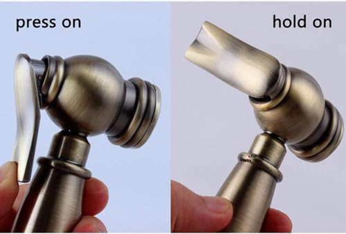 Handbrause Bidet mit Edelstahlschlauch und Halterung für Intimhygiene