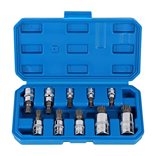 CPROSP Douille Torx Male 1/2'', 1/4'', 3/8'', Embout Torx 12 Pans M4 M5 M6 M8 M10 M12 M14 M16 M18,...