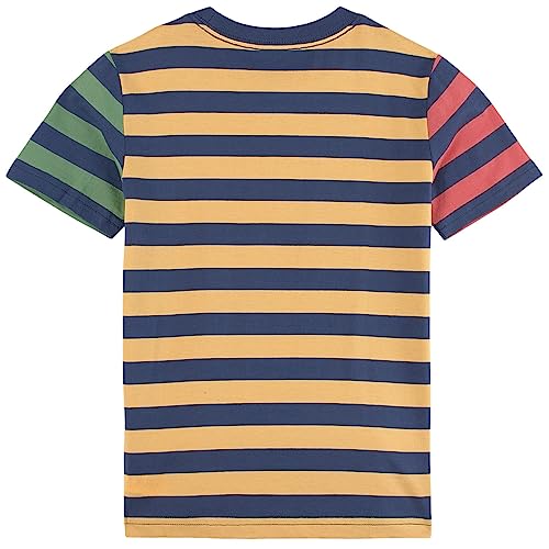 POLO RALPH LAUREN Big Boys Short Sleeve Multicolor Striped T-Shirt (B(4001)/R, Small)2