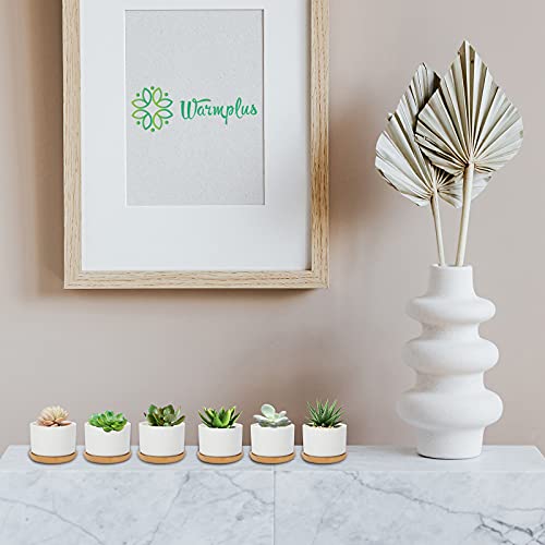 Warmplus White Succulent Plant Pots - Mini Ceramic Cactus Planter With Drainage Hole And Bamboo Tray For Indoors Outdoor Office Home Garden Kitchen Decor, Plants Not Included, Pack Of 12 #TOP3