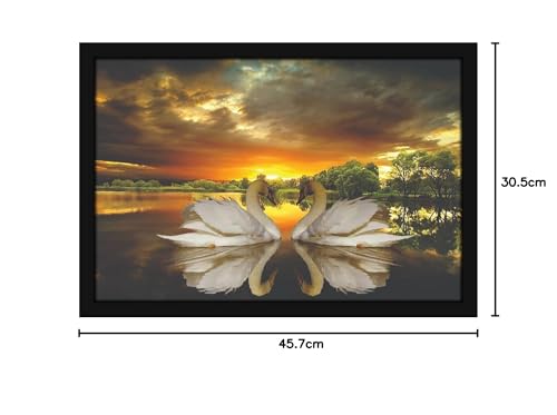 Image of Mad Masters 2 White Swan Bird Duck Love Painting Hanging Photo Frame Decorative Item for Living Room, Bedroom, Home Decor and Wall Decoration (MM 10036, 45.7L x 30.5W cm, Paper, Without Plexi Glass)